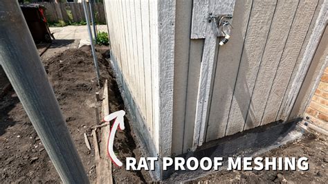 can rats chew through sheet metal|rodent proof mesh screen.